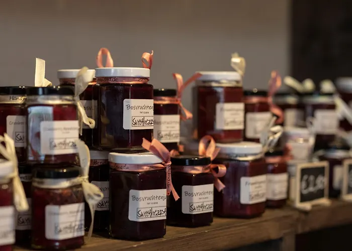 Hotell Fletcher Hotel-restaurant Wolfheze